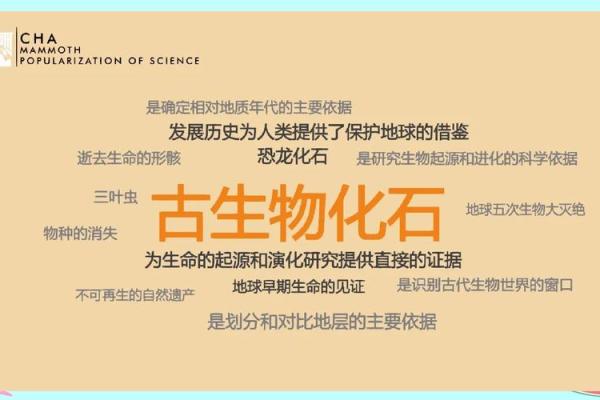 探索生命的奥秘：我们存在的意义与价值