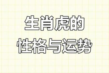 1974年虎男的命运解析：如何让人生更精彩？