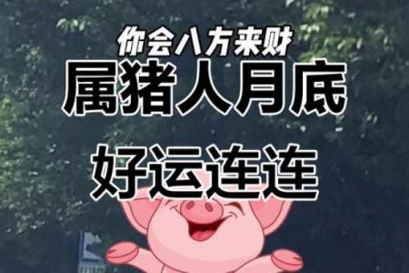 1970年属猪人的命运解析：财富与挑战并存的一生