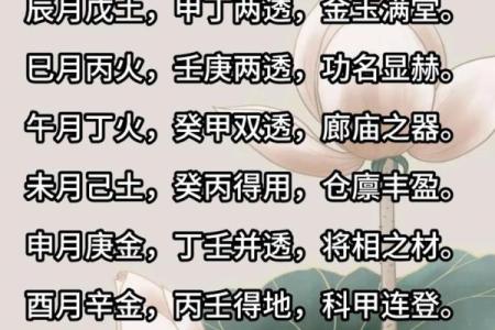 2023年四十岁属什么命？揭秘命理与人生哲学的奥秘