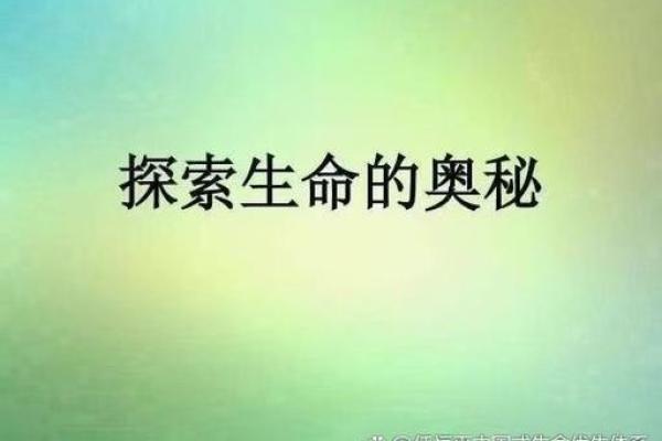 探究命运的奥秘：为何生命有贵贱之分？