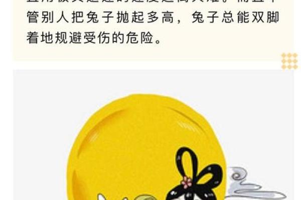 明年是兔年，兔年出生的人命运如何？探秘兔年的幸运与人生智慧！