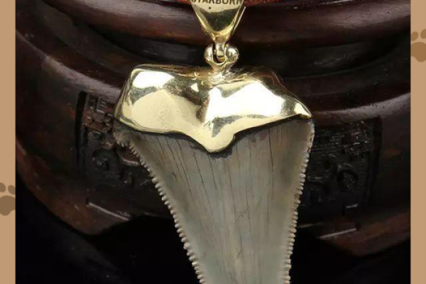 白帝星入命：探索命理中的神秘力量与人生启示