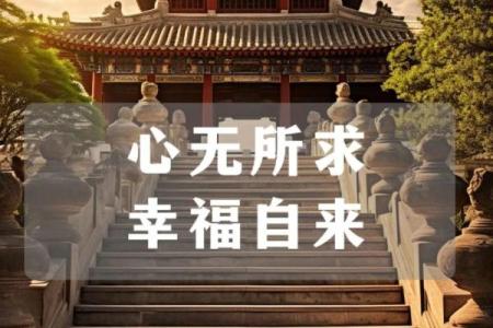 爱钱胜命：探讨追求财富与真实幸福的平衡