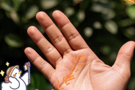 法令纹有分叉，命运之路多变的秘密解读