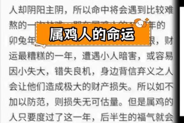 1991年属鸡人的命运解析：探寻成功与幸福的之路