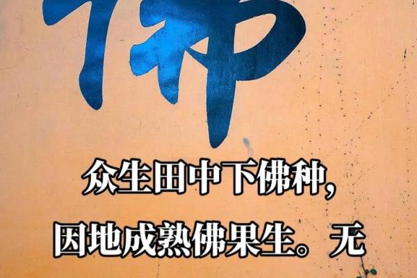 看见佛的人是什么命：解读人生与信仰的交响曲