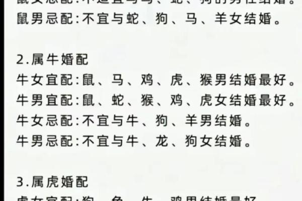 鼠年出生男孩的命运分析:潜力与挑战并存 鼠年出生男孩的命运分析:潜力与挑战并存