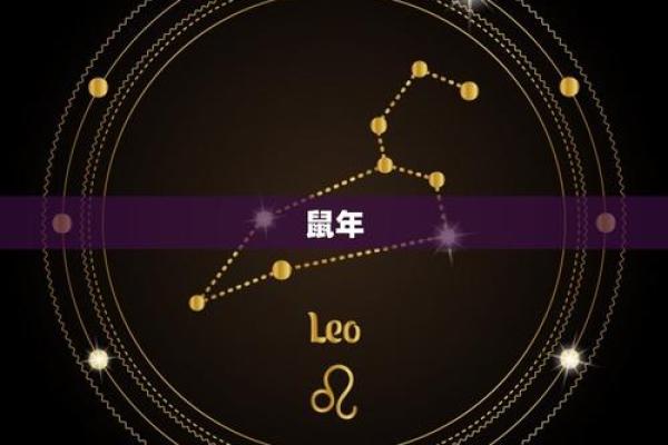 鼠年出生男孩的命运分析:潜力与挑战并存 鼠年出生男孩的命运分析:潜力与挑战并存