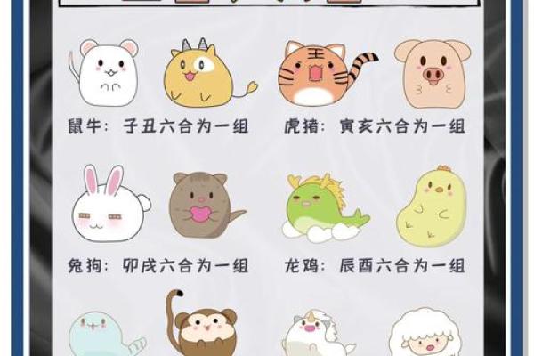 1995年出生的生肖命理分析：揭开命运的神秘面纱