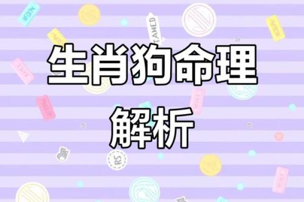 70年属狗的朋友，究竟是土命还是其他命？探讨生肖与五行的深奥关系