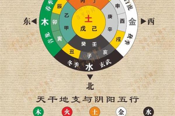 70年属狗的朋友，究竟是土命还是其他命？探讨生肖与五行的深奥关系