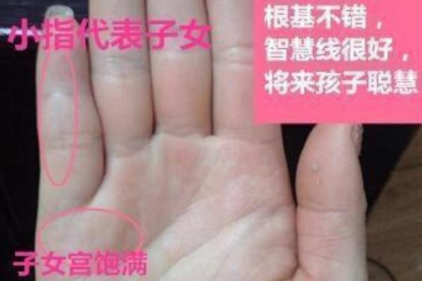 小指四节的人命运解读：灵巧与机智的象征