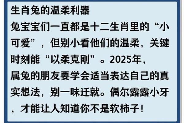 探索命运的奥秘：解读不同生肖与出生日期的命理特征