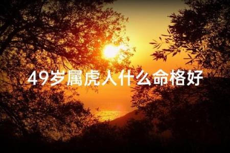 1986年属虎，如何解读这一命格的性格与运势？