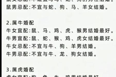 鼠年出生男孩的命运分析：潜力与挑战并存