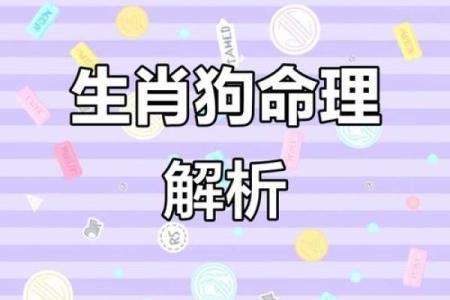 70年属狗的朋友，究竟是土命还是其他命？探讨生肖与五行的深奥关系