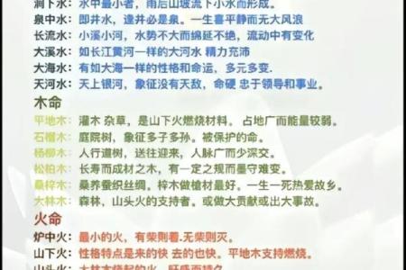 土命与火命共创商机：如何选择合适的生意项目？