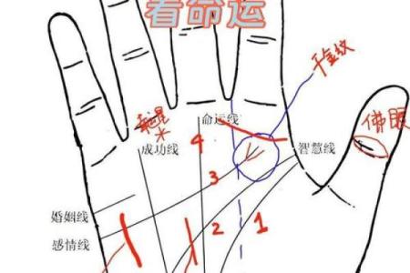 男子断手纹的命运揭秘，如何影响人生走向与运势转折？