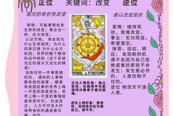 算命不信，命运会如何自我安排？探寻不信命运者的未来