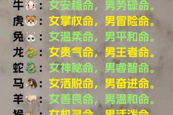 探秘星座背后的命运密码：你是哪种命？