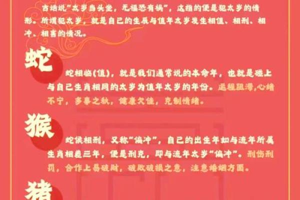 深入探索2007年亥猪命：命理与生活的完美结合