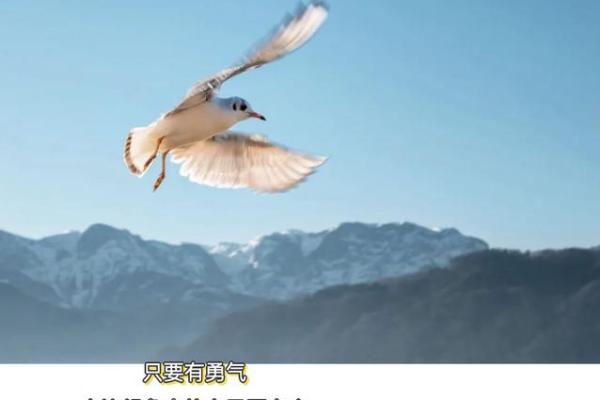 1986年的命运：重拾信心与勇气的旅程