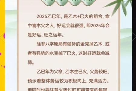 揭秘2017年戌时出生命格：如何解析与运势结合的心灵之旅！