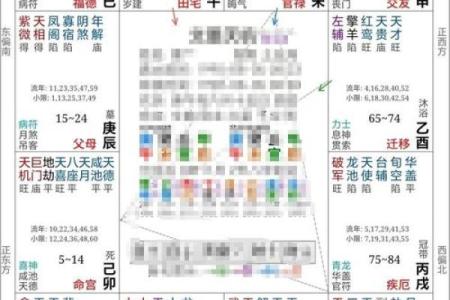 1983年出生的人：命主的性格与命运探索