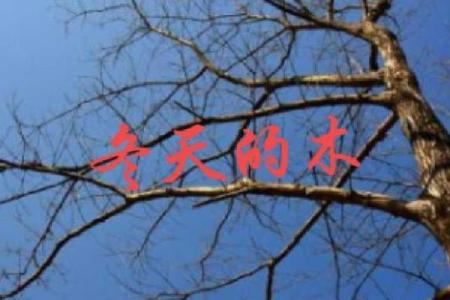 木命之人最佳葬地：揭开葬于何方的秘密