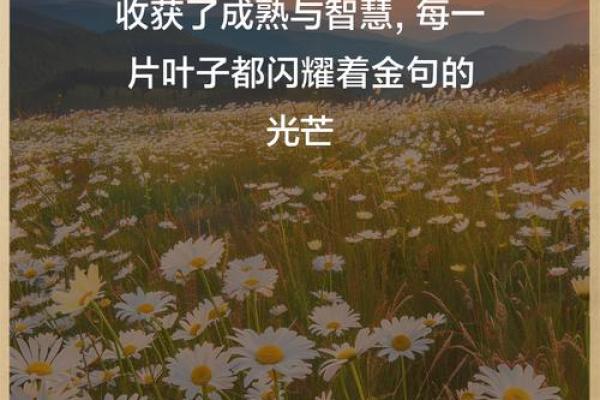 60岁的人生智慧:如何享受生活的每一天 60岁的人生智慧:如何享受生活的每一天