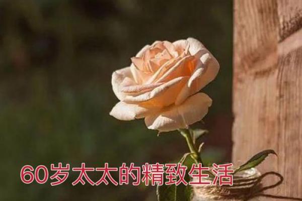 60岁的人生智慧:如何享受生活的每一天 60岁的人生智慧:如何享受生活的每一天