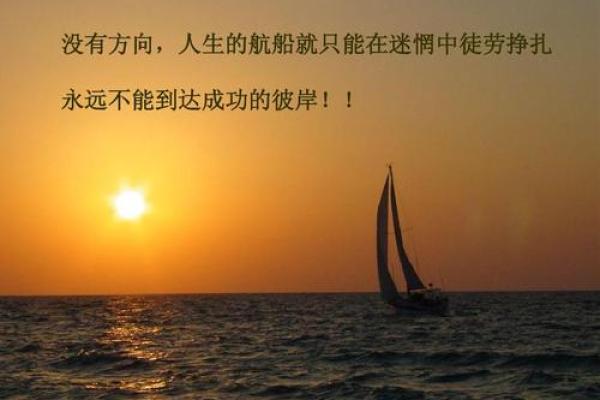 谬命的深层含义与人生启示：从错误到启航的智慧之旅