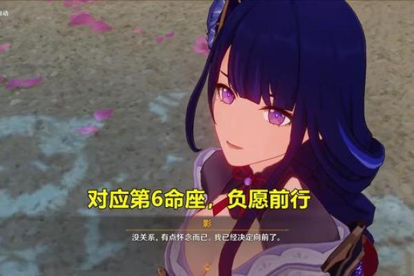 零命雷电将军价格详解：攻略与建议，助你轻松拥有！