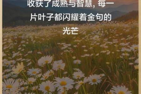 60岁的人生智慧：如何享受生活的每一天