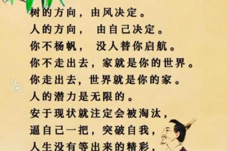 谬命的深层含义与人生启示：从错误到启航的智慧之旅