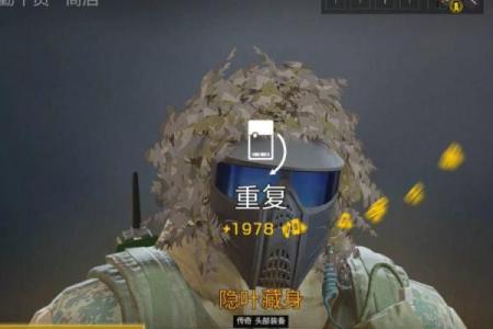 揭开神秘面纱：六命托马与七命托纳的奥秘探寻