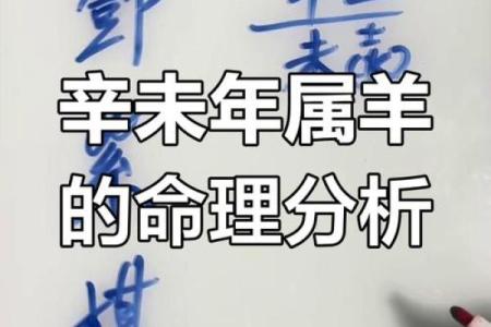 1991年属羊的命理解析：细腻温和，逐梦人生的智慧之旅