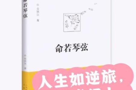 命里文艺：在生活的困境中寻找灵感与美感