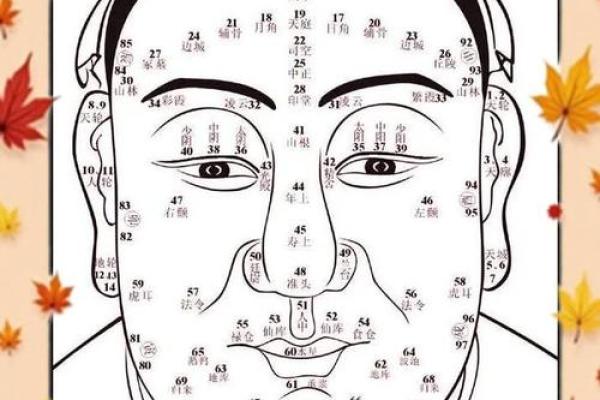 男人眉毛长长的命运解析：象征与运势的深层秘密