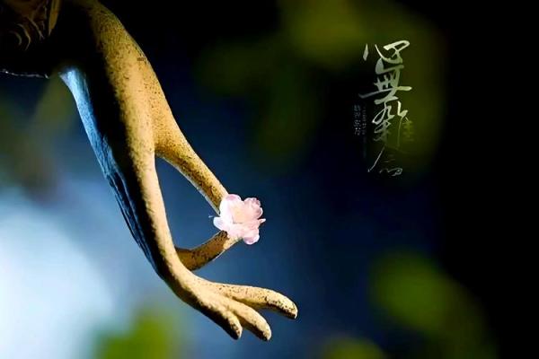 “一命换两命”：珍贵生命的哲学思考与现实故事