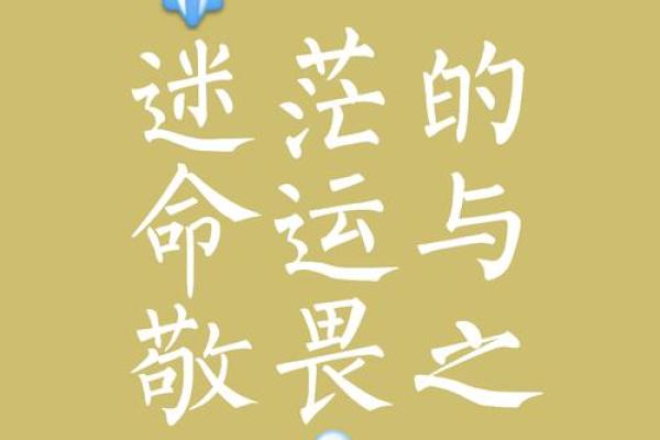 “一命换两命”：珍贵生命的哲学思考与现实故事