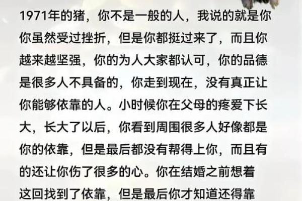 1934年属猪：了解这个年份的命运与性格特色