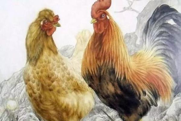 探秘1962年出生者的生肖运势与人生轨迹