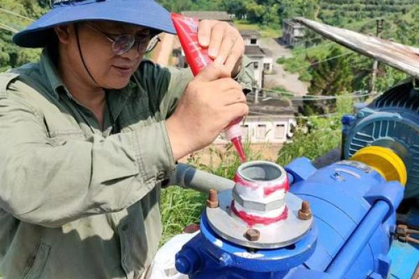 如何运用水命的力量，助力林木生长与发展