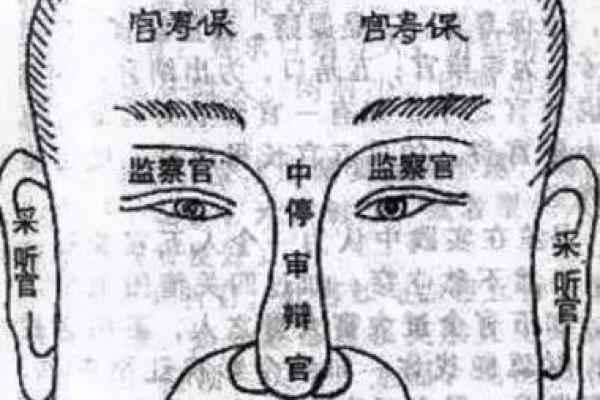 土命的奥秘：了解土命的特征与命运解析