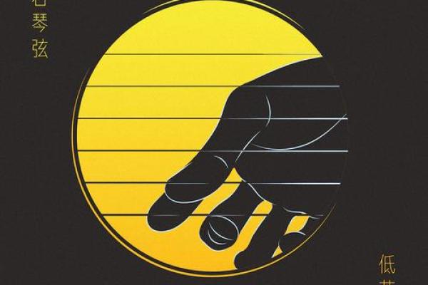 命若琴弦：生活的弹奏与韵律