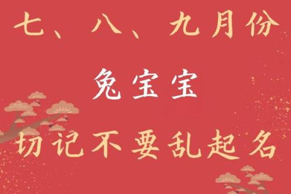 2023兔年：如何为宝宝选择合适的命理搭配