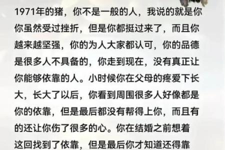 1934年属猪：了解这个年份的命运与性格特色