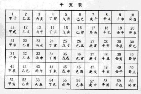 探寻庚子庚辰命格的奥秘：谁是命理中的幸运儿？
